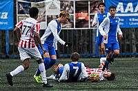 FC Slovan Liberec - Tromsø IL |  autor: Jaroslav Appeltauer