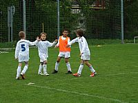 U9 - OFS Hodkovice n/M 05/2013 |  autor: Daniel L�ffler