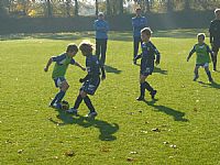 U9 - Turnaj OFS 10/2012 - Letka |  autor: Daniel L�ffler