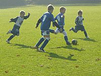 U9 - Turnaj OFS 10/2012 - Letka |  autor: Daniel L�ffler